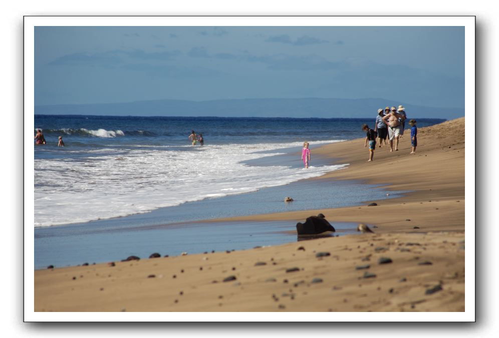 Gliders, Sand, and Surfers in Maui - 128