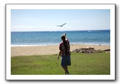 Gliders, Sand, and Surfers in Maui - 007