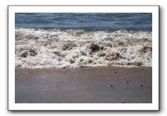 Gliders, Sand, and Surfers in Maui - 136