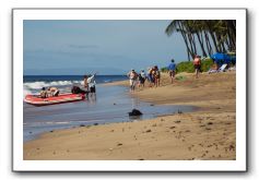 Gliders, Sand, and Surfers in Maui - 140