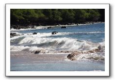 Gliders, Sand, and Surfers in Maui - 142