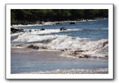 Gliders, Sand, and Surfers in Maui - 143