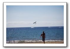 Gliders, Sand, and Surfers in Maui - 033