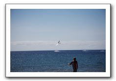 Gliders, Sand, and Surfers in Maui - 034