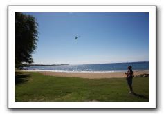 Gliders, Sand, and Surfers in Maui - 008