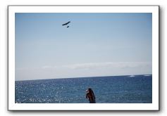 Gliders, Sand, and Surfers in Maui - 037