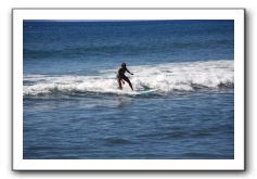 Gliders, Sand, and Surfers in Maui - 304