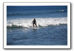 Gliders, Sand, and Surfers in Maui - 307