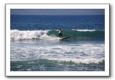 Gliders, Sand, and Surfers in Maui - 309