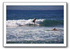 Gliders, Sand, and Surfers in Maui - 311