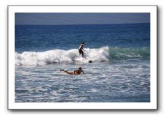 Gliders, Sand, and Surfers in Maui - 312