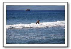 Gliders, Sand, and Surfers in Maui - 313