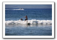 Gliders, Sand, and Surfers in Maui - 314
