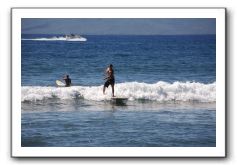 Gliders, Sand, and Surfers in Maui - 315