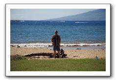 Gliders, Sand, and Surfers in Maui - 043