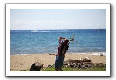 Gliders, Sand, and Surfers in Maui - 050