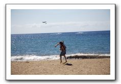 Gliders, Sand, and Surfers in Maui - 058