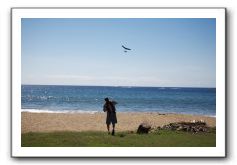 Gliders, Sand, and Surfers in Maui - 011