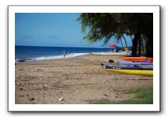 Gliders, Sand, and Surfers in Maui - 062