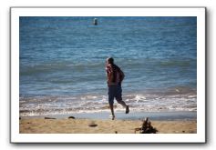 Gliders, Sand, and Surfers in Maui - 067