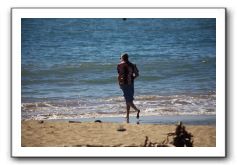 Gliders, Sand, and Surfers in Maui - 068