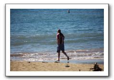 Gliders, Sand, and Surfers in Maui - 069