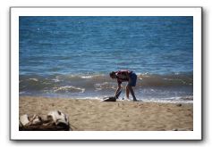 Gliders, Sand, and Surfers in Maui - 071