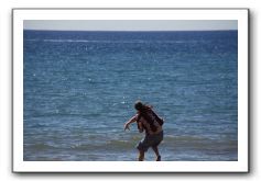 Gliders, Sand, and Surfers in Maui - 078