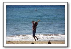 Gliders, Sand, and Surfers in Maui - 082