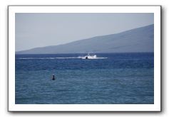 Gliders, Sand, and Surfers in Maui - 088