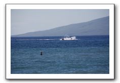 Gliders, Sand, and Surfers in Maui - 089