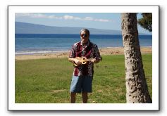 Gliders, Sand, and Surfers in Maui - 104