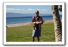 Gliders, Sand, and Surfers in Maui - 108