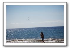 Gliders, Sand, and Surfers in Maui - 024