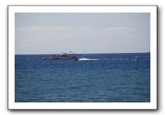 Gliders, Sand, and Surfers in Maui - 117