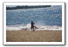 Gliders, Sand, and Surfers in Maui - 124