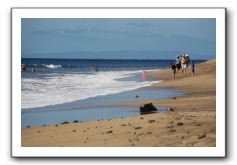 Gliders, Sand, and Surfers in Maui - 128