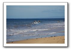 Gliders, Sand, and Surfers in Maui - 130