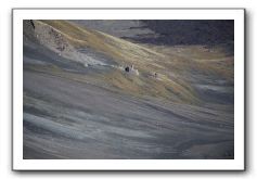 Haleakala-Volcano-Maui-219