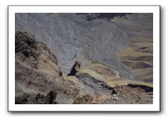 Haleakala-Volcano-Maui-241