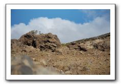 Haleakala-Volcano-Maui-309