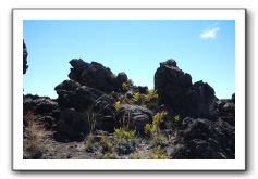 Haleakala-Volcano-Maui-328