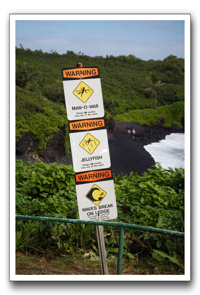 Hana-Highway-Waianapanapa-State-Park-197