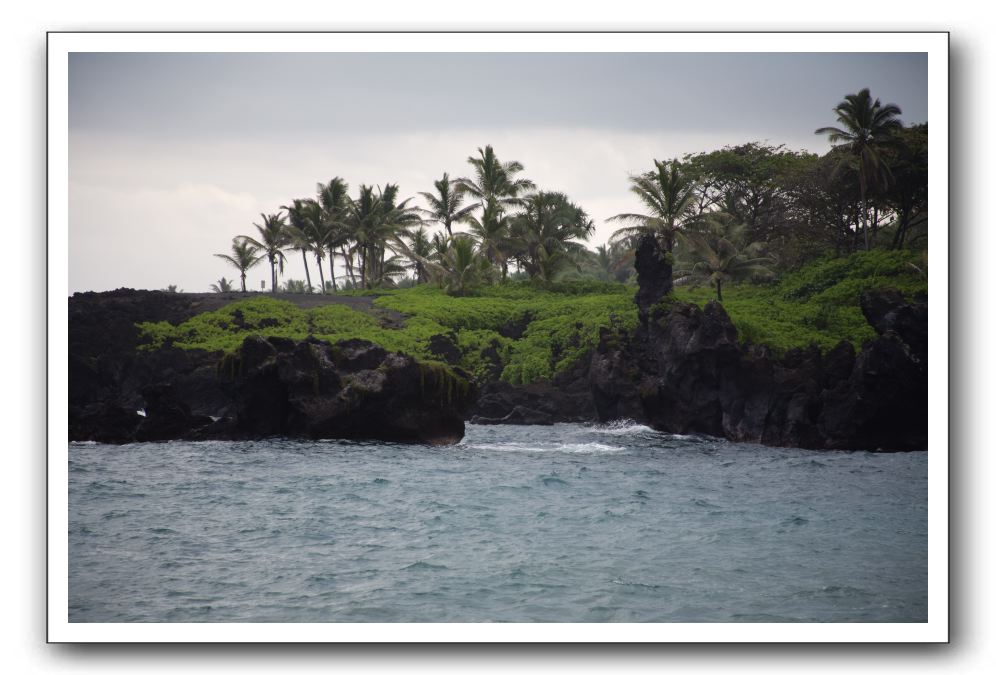 Hana-Highway-Waianapanapa-State-Park-228