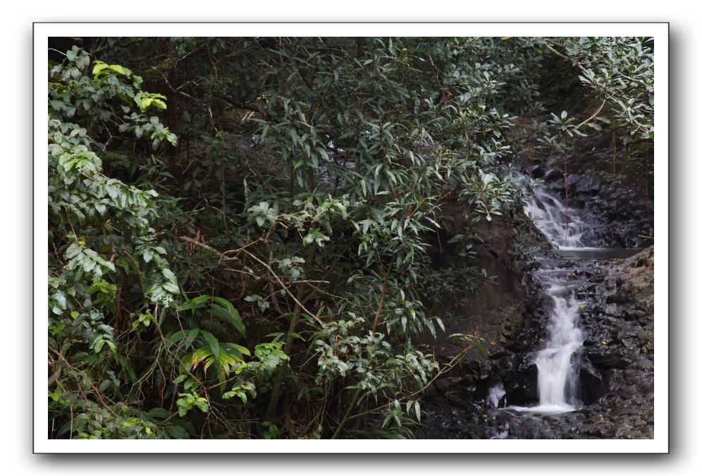 Hana-Highway-Waianapanapa-State-Park-024