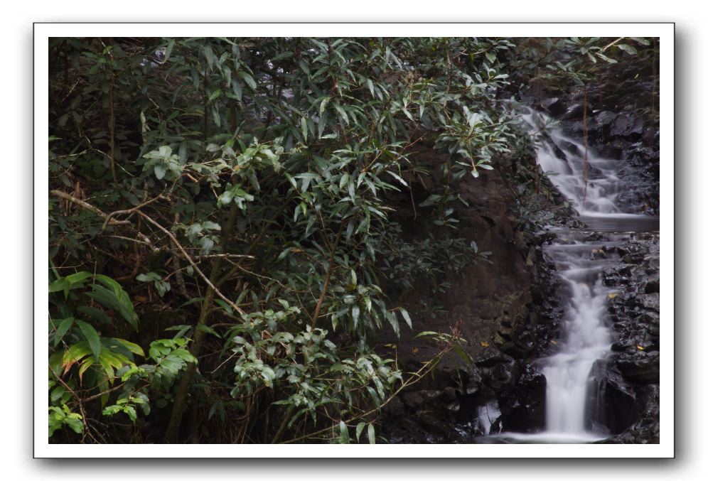 Hana-Highway-Waianapanapa-State-Park-027