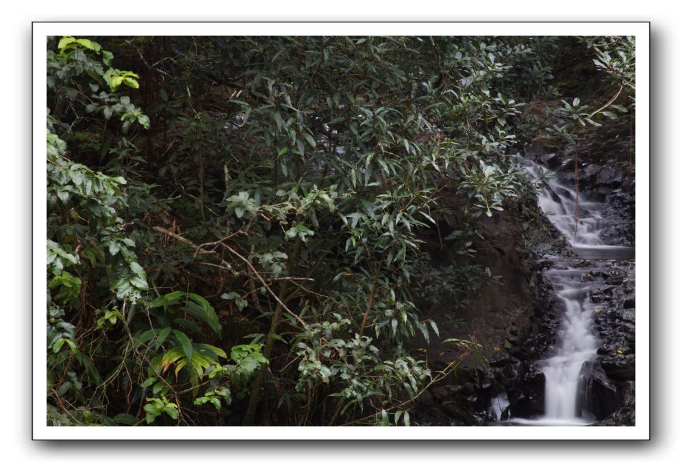 Hana-Highway-Waianapanapa-State-Park-028
