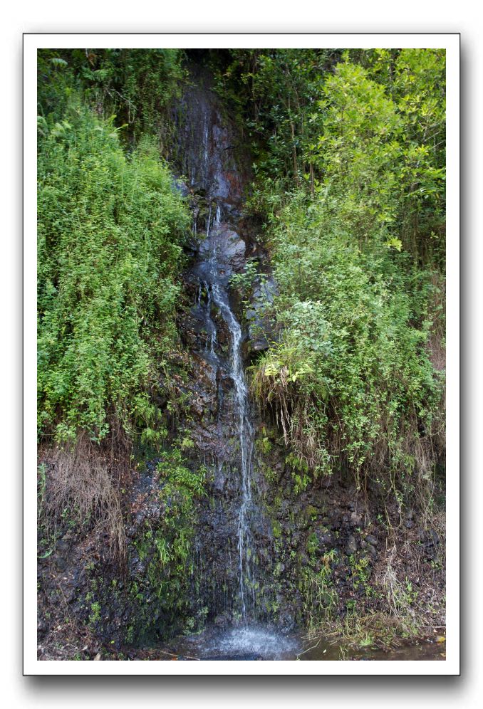 Hana-Highway-Waianapanapa-State-Park-315