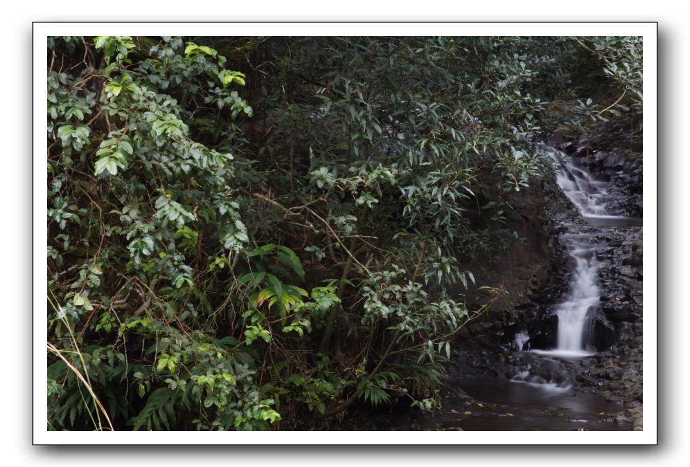 Hana-Highway-Waianapanapa-State-Park-030