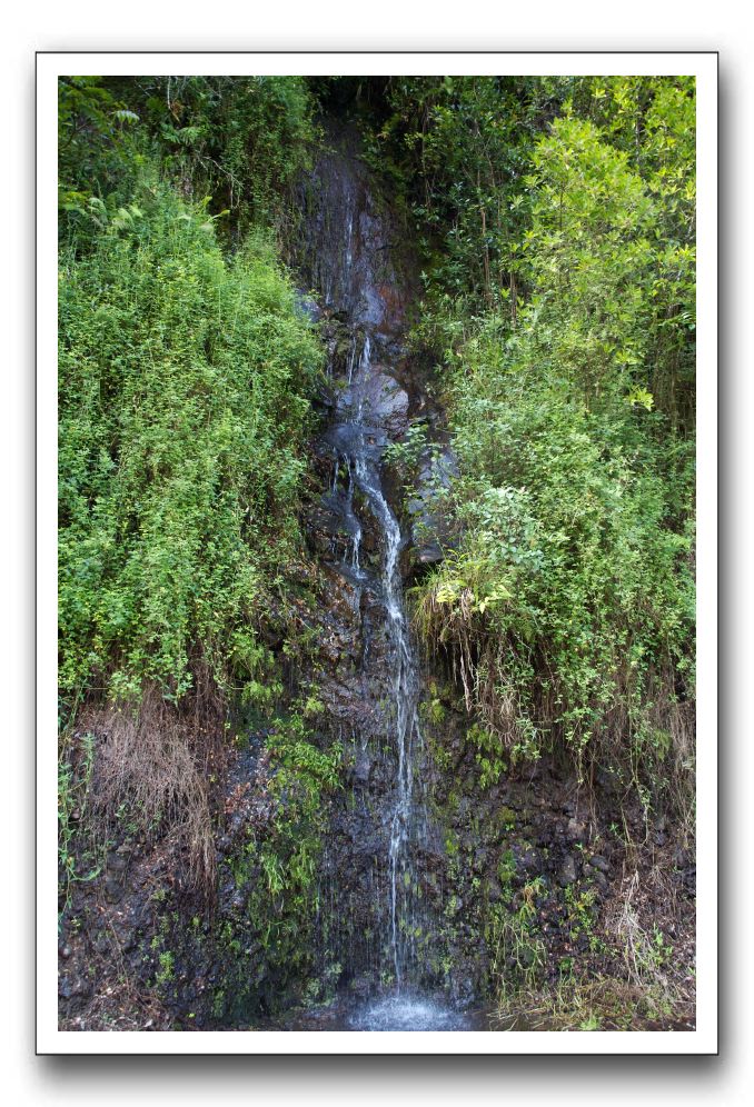 Hana-Highway-Waianapanapa-State-Park-316